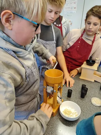 Schülerinnen und Schüler quetschen Haferkörner zu Haferflocken
