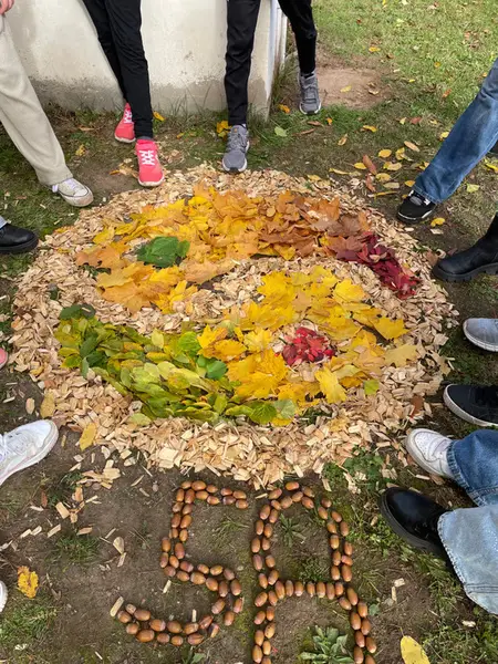 Land-Art - 5A & 5B