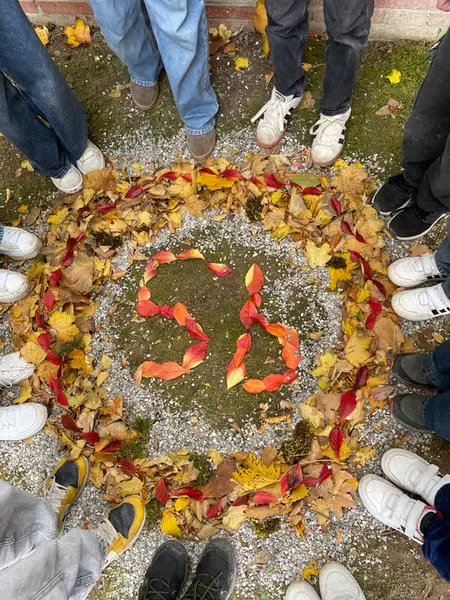 Land-Art - 5A & 5B